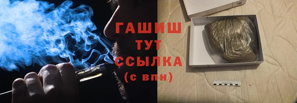 индика Михайлов