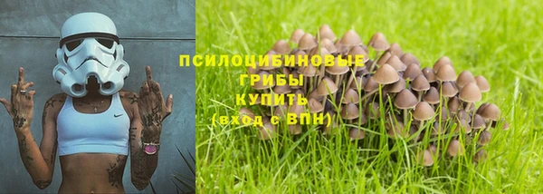 не бодяженный Белокуриха