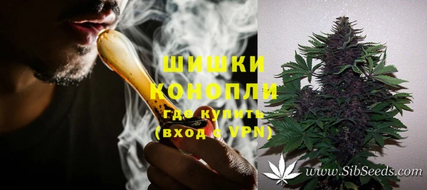 PSILOCYBIN Балахна