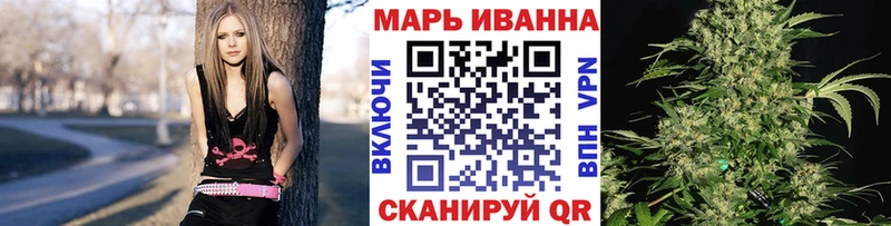 Конопля гибрид как найти наркотики Ессентуки